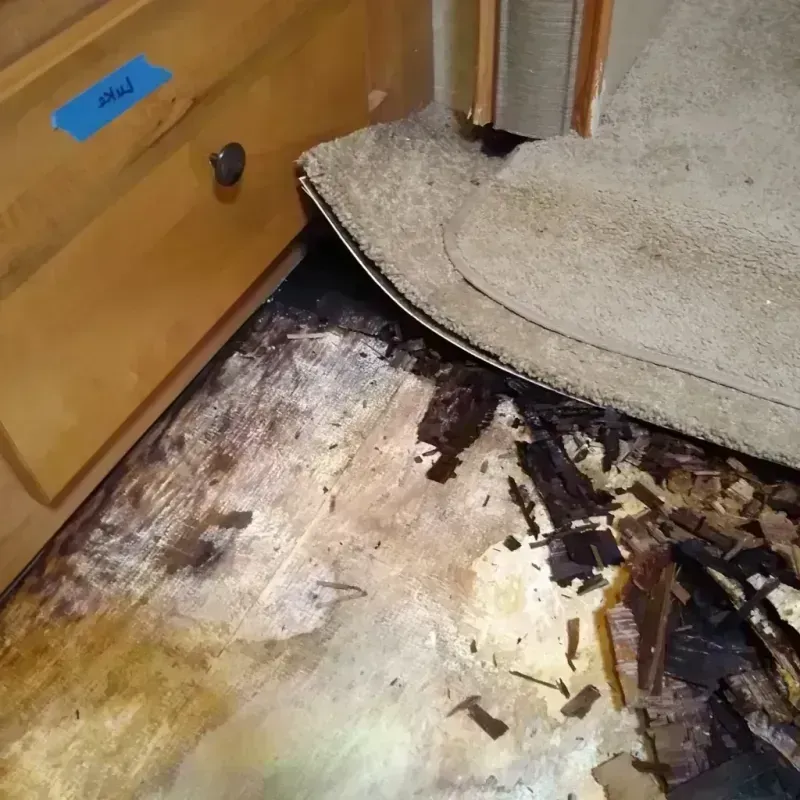 Wood Floor Water Damage in Helena, GA